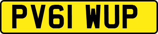 PV61WUP