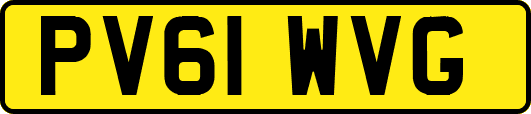 PV61WVG