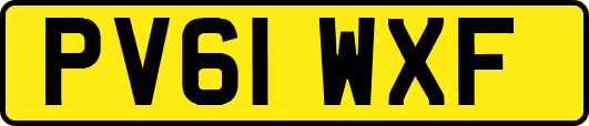 PV61WXF
