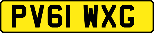 PV61WXG