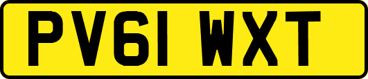 PV61WXT