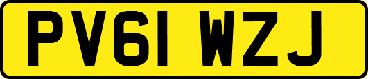 PV61WZJ
