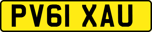 PV61XAU