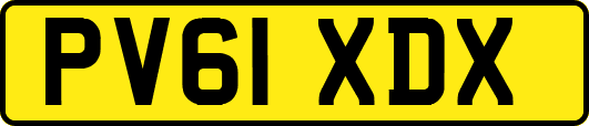 PV61XDX