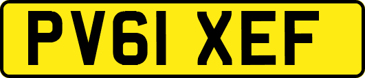 PV61XEF