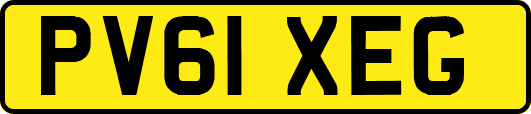 PV61XEG