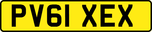 PV61XEX