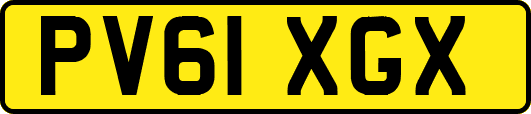 PV61XGX