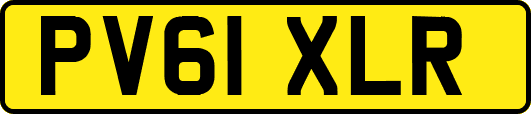 PV61XLR
