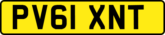 PV61XNT