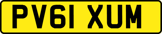 PV61XUM