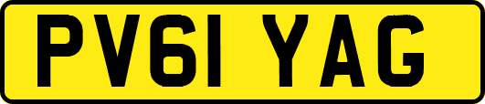 PV61YAG