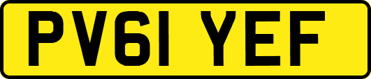 PV61YEF