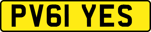PV61YES