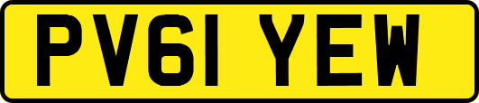 PV61YEW