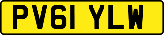 PV61YLW