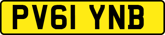 PV61YNB