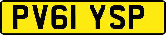 PV61YSP