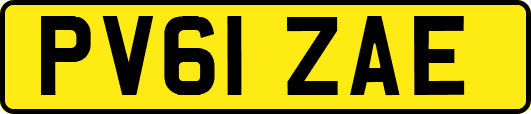 PV61ZAE