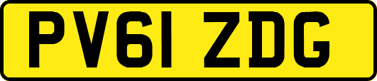 PV61ZDG
