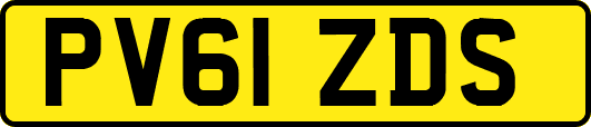 PV61ZDS