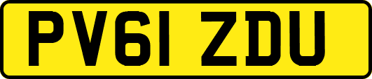 PV61ZDU