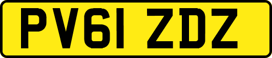 PV61ZDZ