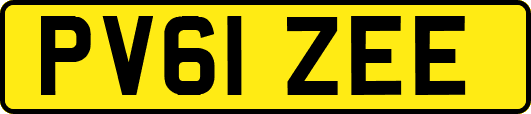 PV61ZEE