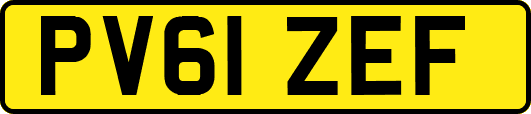 PV61ZEF