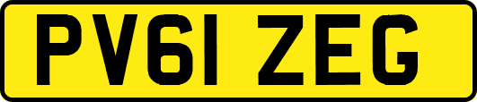 PV61ZEG