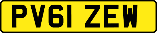 PV61ZEW