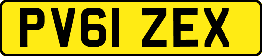 PV61ZEX