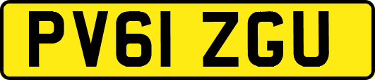 PV61ZGU