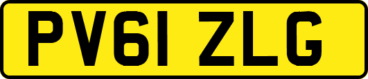 PV61ZLG