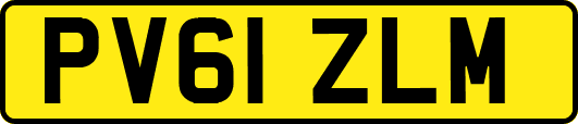 PV61ZLM