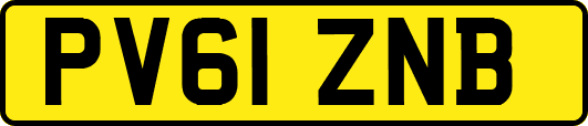 PV61ZNB