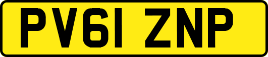 PV61ZNP
