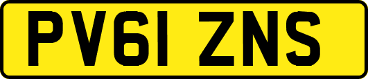 PV61ZNS