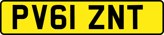 PV61ZNT