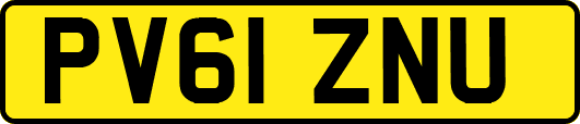 PV61ZNU