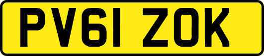 PV61ZOK