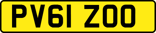 PV61ZOO
