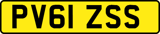 PV61ZSS