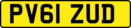 PV61ZUD