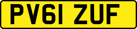 PV61ZUF
