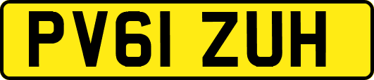 PV61ZUH