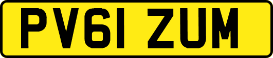 PV61ZUM
