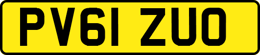 PV61ZUO