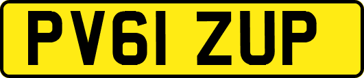 PV61ZUP