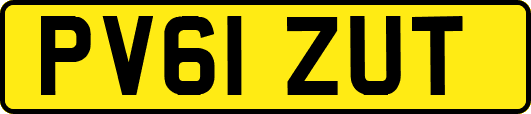 PV61ZUT